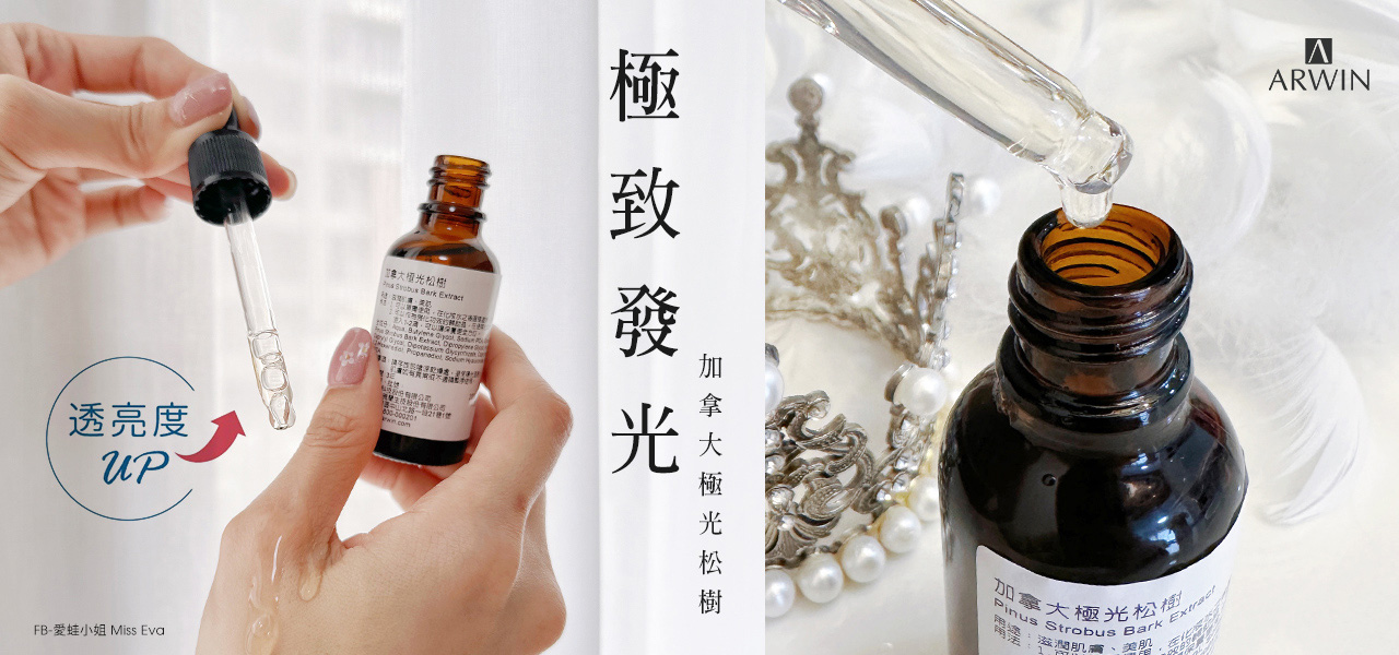 加拿大極光松樹