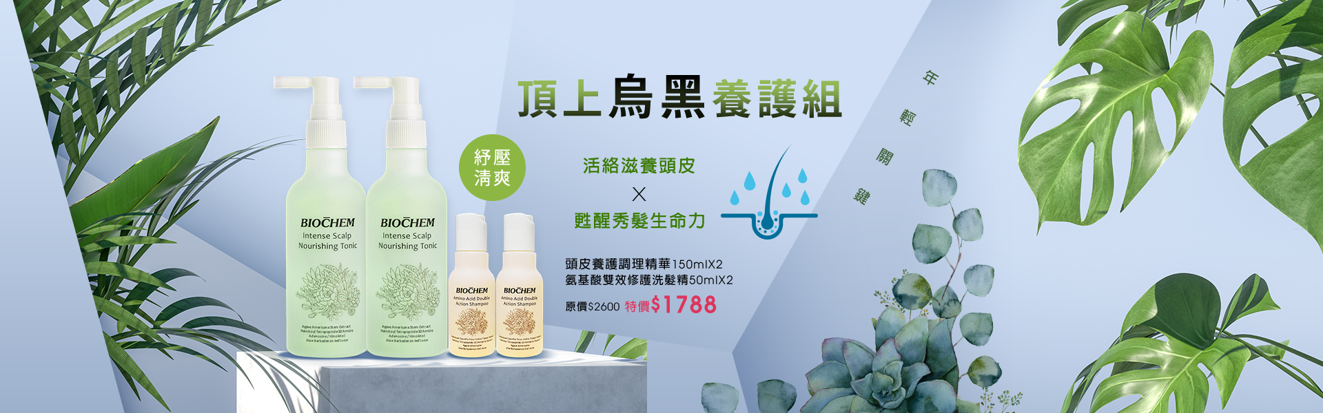 頭皮養護調理精華150mlX2 贈氨基酸雙效修護洗髮精50mlX2