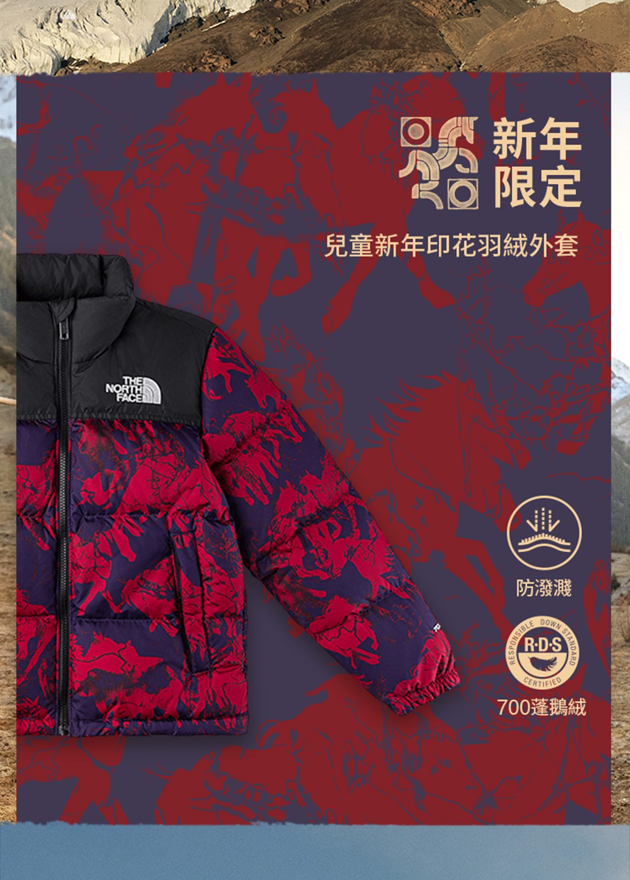 The North Face- 台灣官方網站