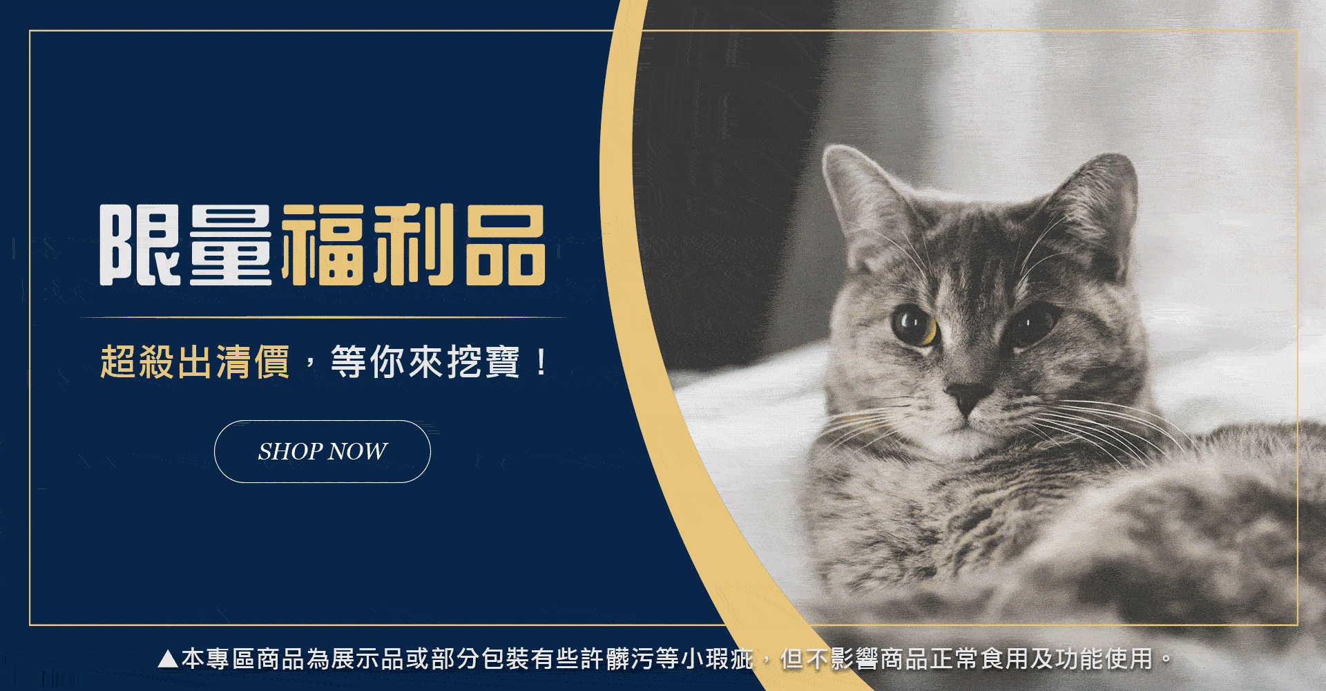 倆寶貝,寵物,狗,貓,罐頭,罐罐,貓罐,犬罐,海洋之星,benevo,倍樂福,飼料,貓砂,善地球,SOOPA,酷寶,綠自然,輕食,蔬食