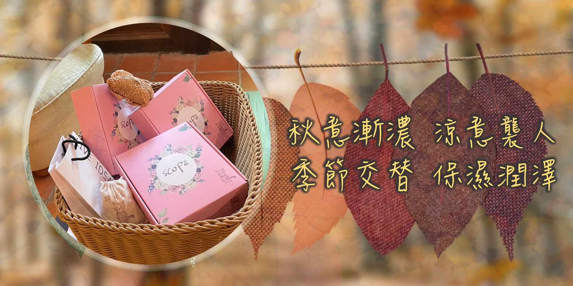 禮盒