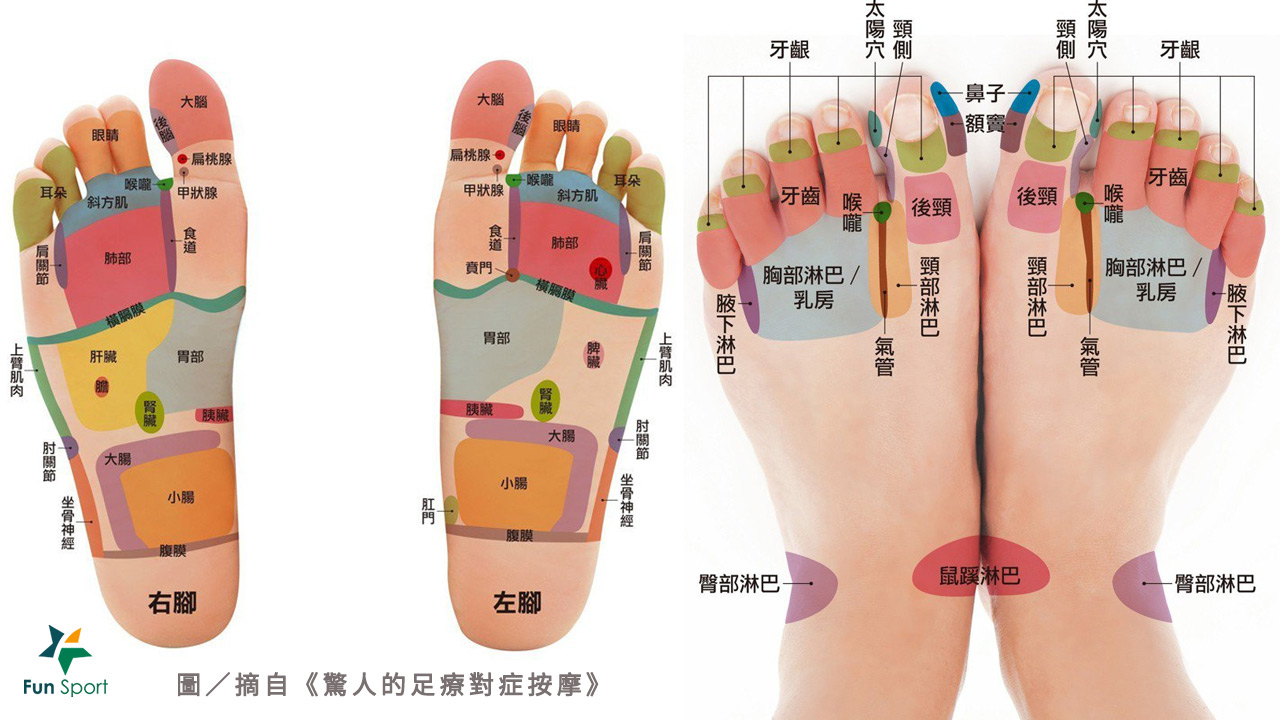 腳底按摩好處，排毒除濕促循環，同步養護足底筋膜！