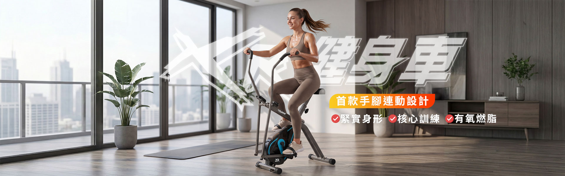 雙動力磁控健身車