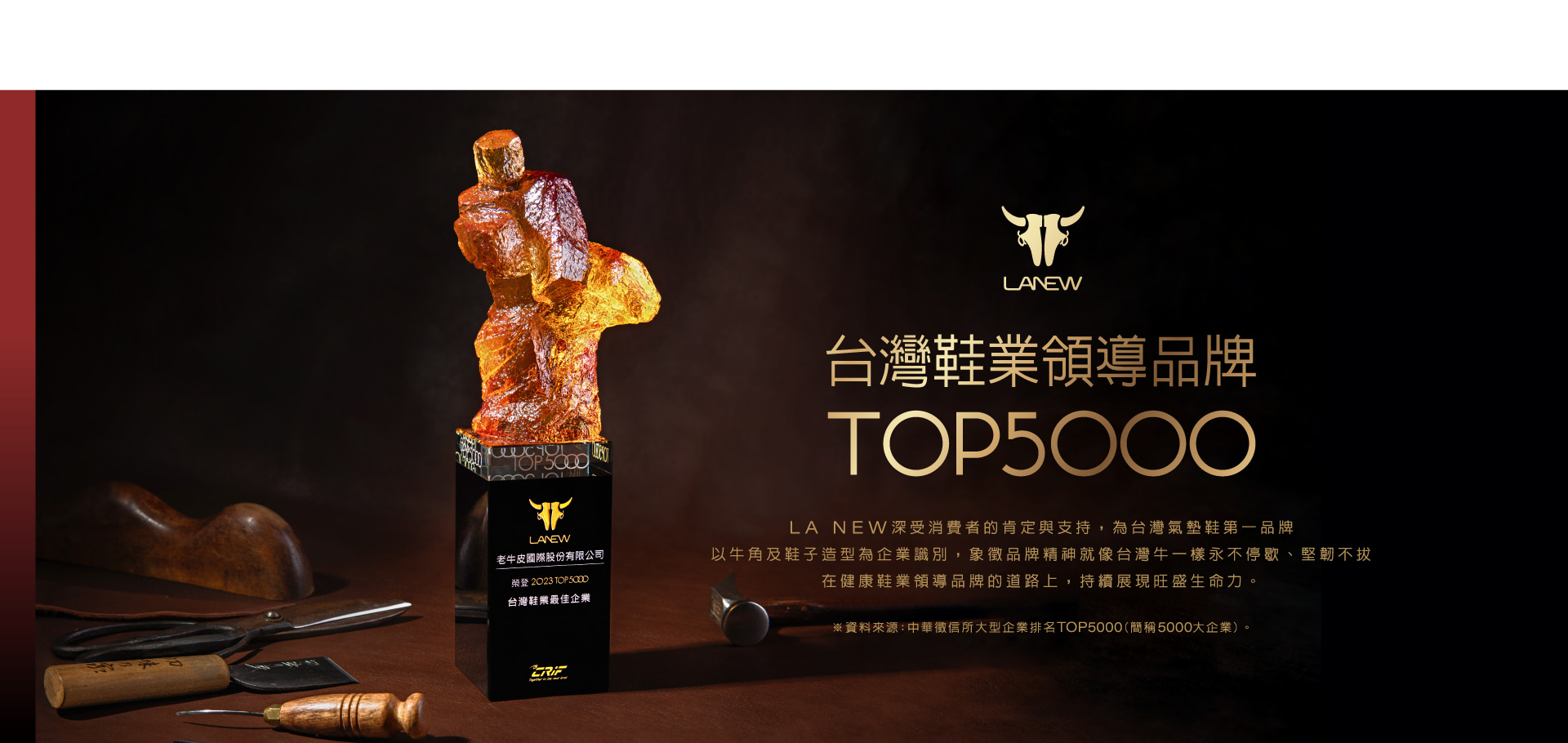 台灣鞋業領導品牌 TOP 5000 企業