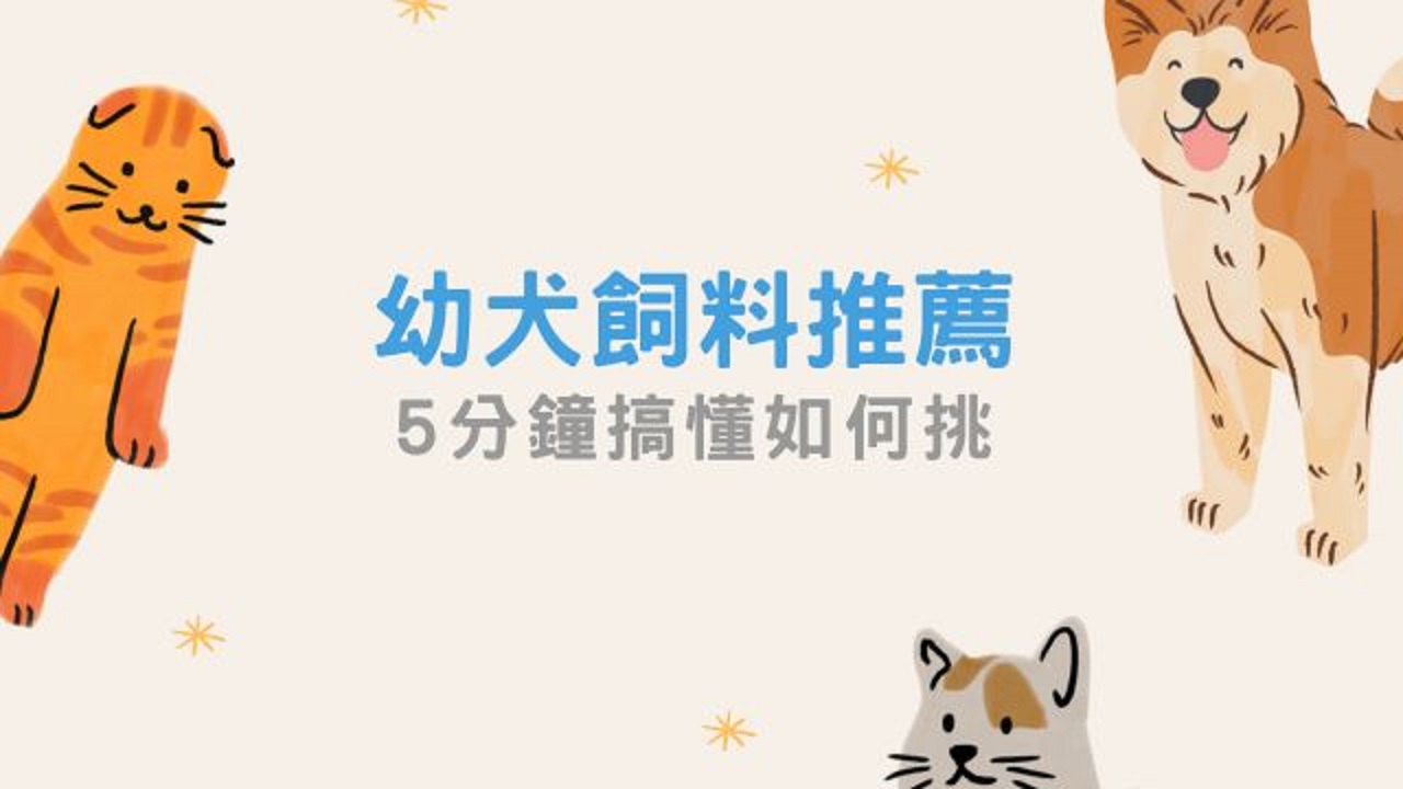 狗狗飼料挑選指南｜狗飼料推薦｜狗狗飼料評比｜熱門幼犬、成犬、熟齡犬乾糧評比推薦