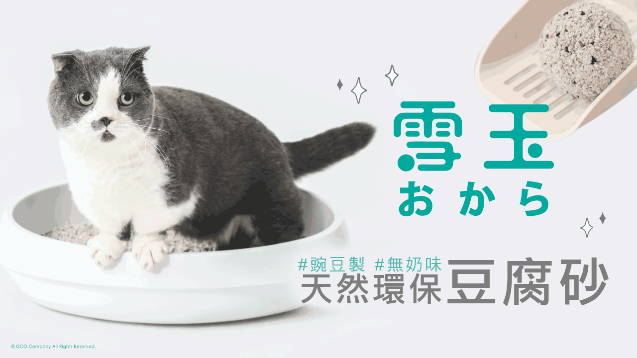 高CP值豆腐貓砂，成分天然單純，使用瞬吸凝結，貓砂易溶易沖