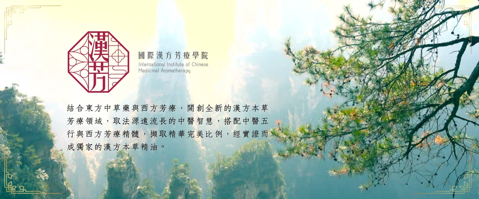 漢本草精油 神氣系列| 神氣系列商品推薦| 漢‧本草芳療養生概念