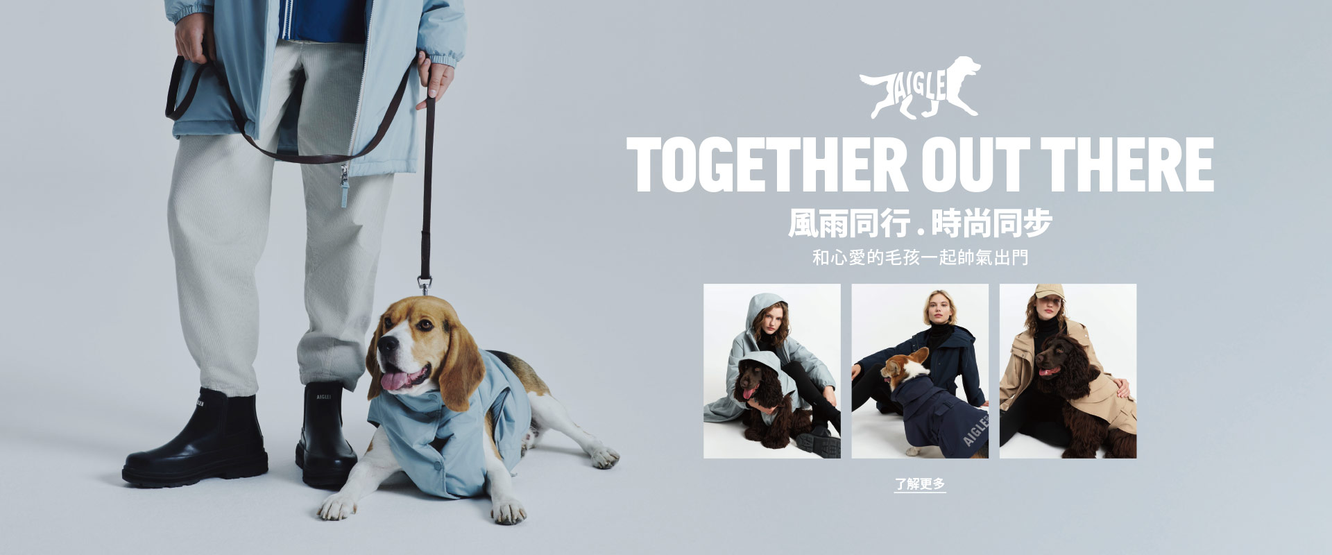 狗系列
