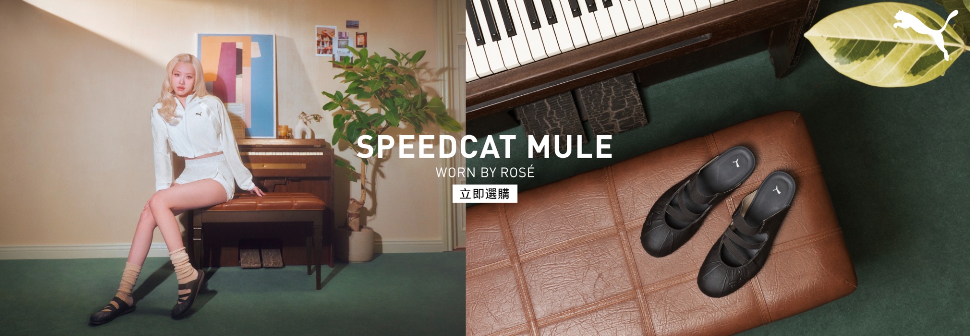 T1_ROSE MULE