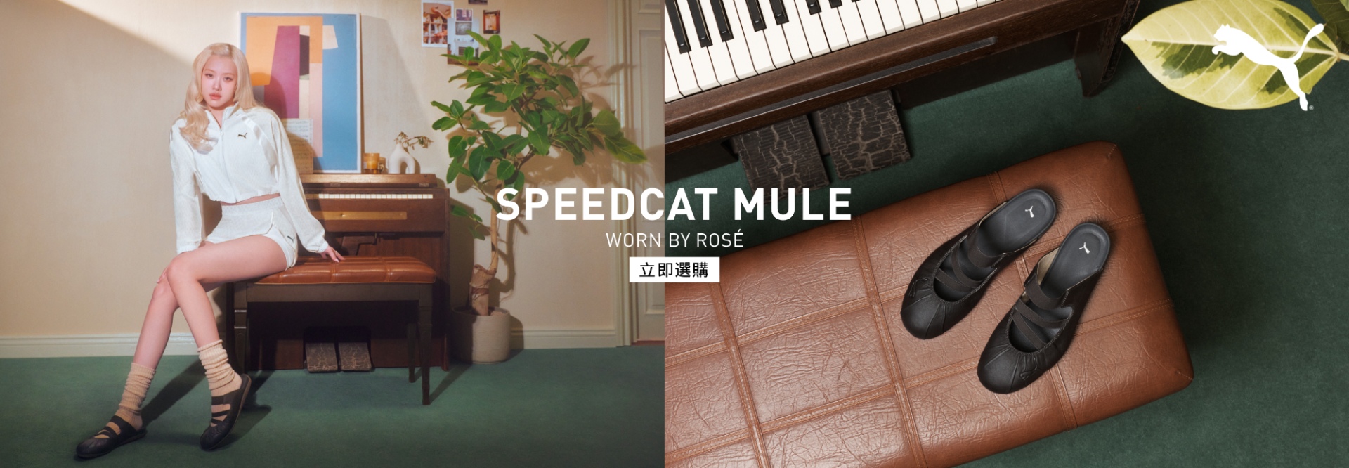 T1_ROSE MULE