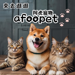 HeaderB-staticBanner-1