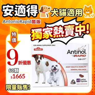 安適得最低優惠~