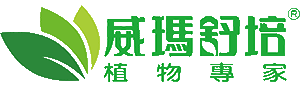 臺灣威瑪舒培有限公司