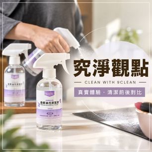 究淨觀點