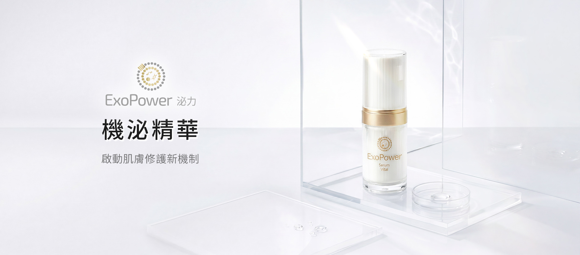 泌力精華