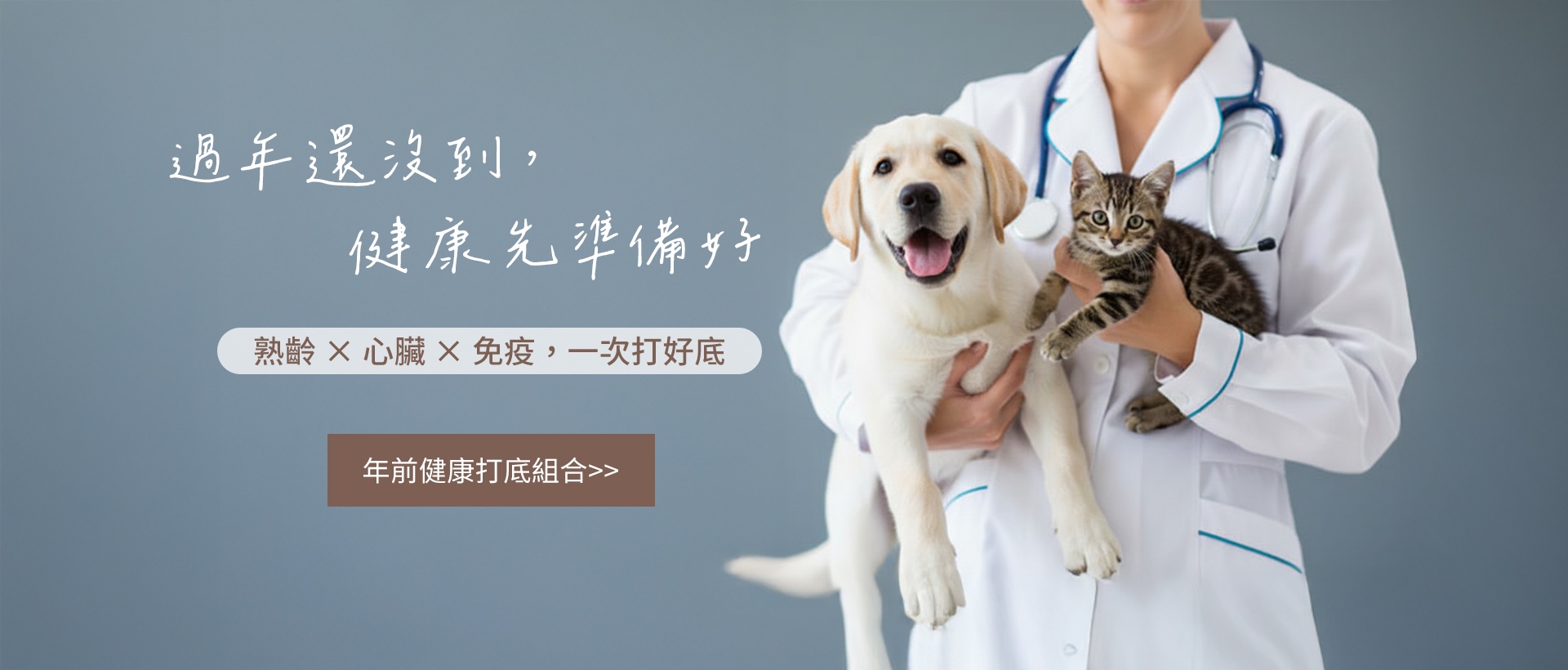 年前健康打底專區｜IVITA 寵物保健年節組合，熟齡心臟與免疫日常打底推薦