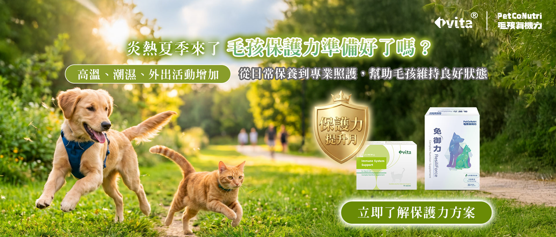 炎熱夏季高溫潮濕與外出活動增加，毛孩保護力提升月活動主視覺，推薦 PCN 免御力與 ivita 速藻醣作為犬貓日常保養與專業照護營養支持方案。