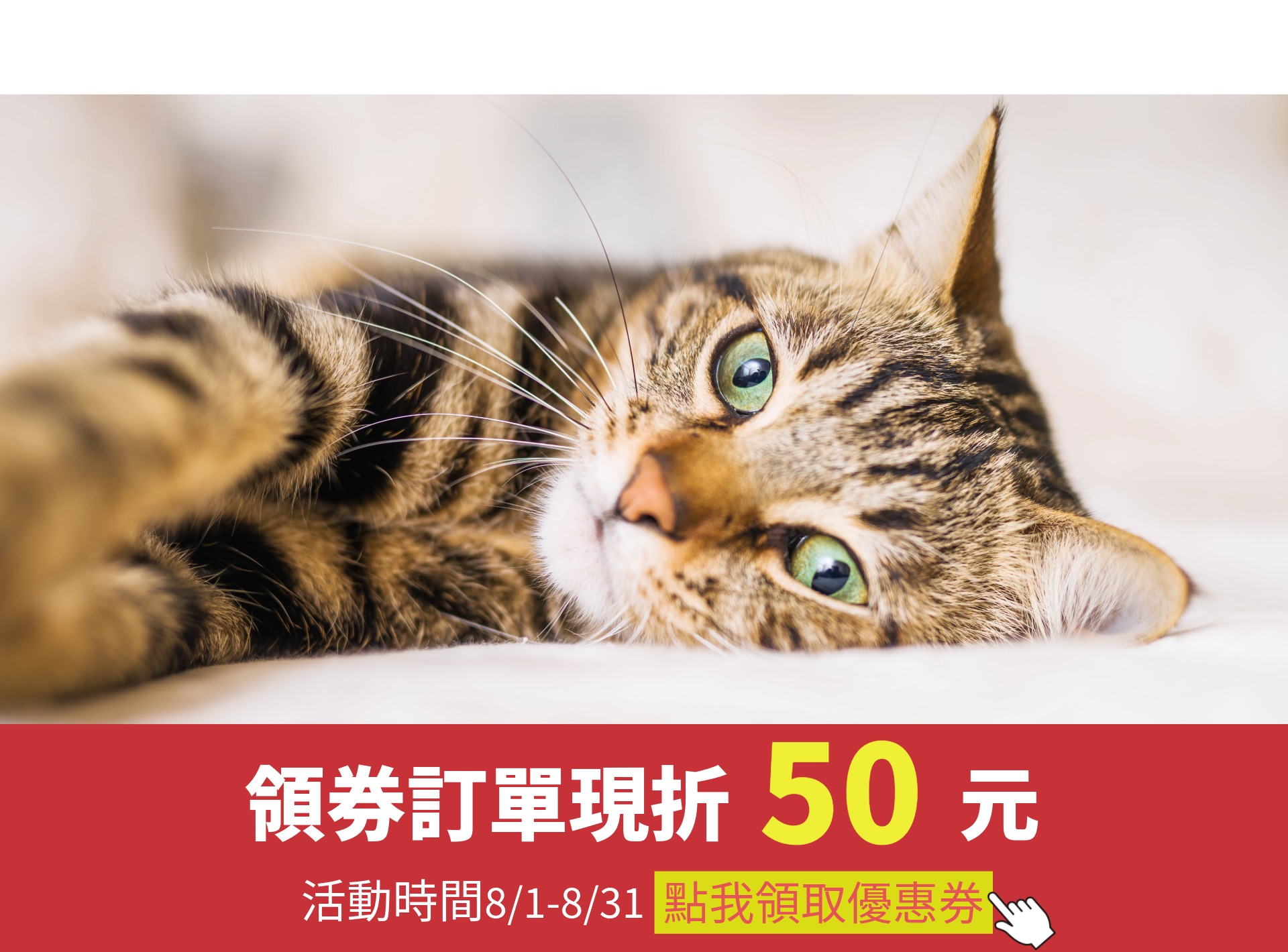 貓砂 礦砂 豆腐砂 貓益生菌 貓主食罐 貓餐包
