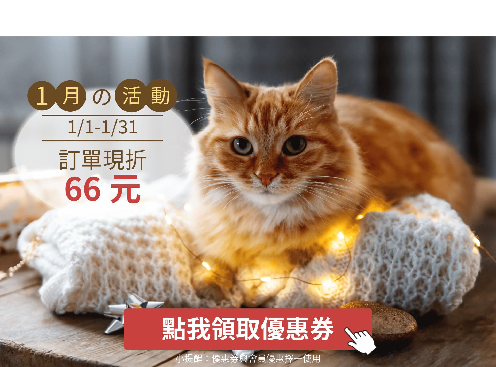 貓砂 豆腐砂 條砂 礦砂 公寓砂 貓益生菌 貓主食罐餐包