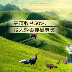 品牌理念