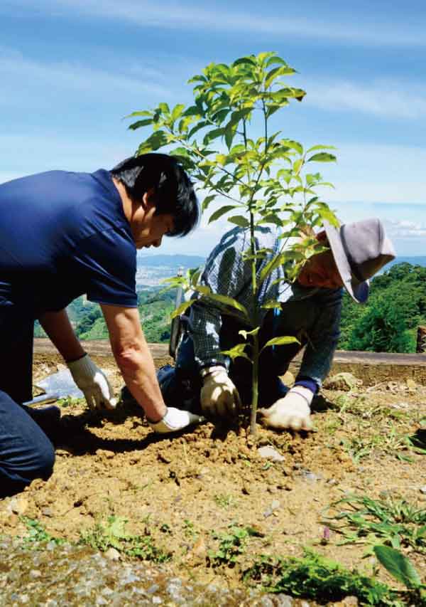 雲道國際有限公司