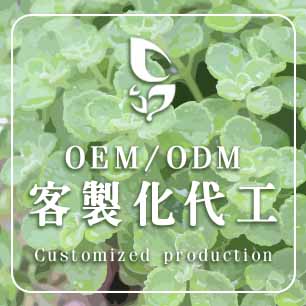 代工廠