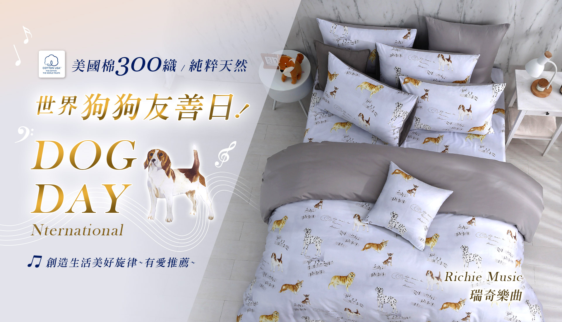 美國棉300織-新品