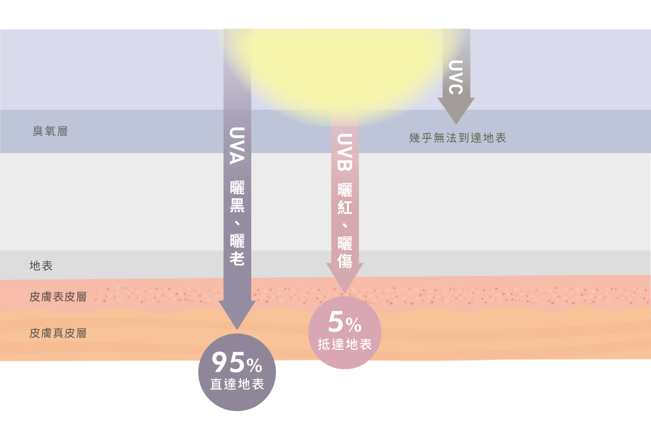 Tia cực tím UVA UVB