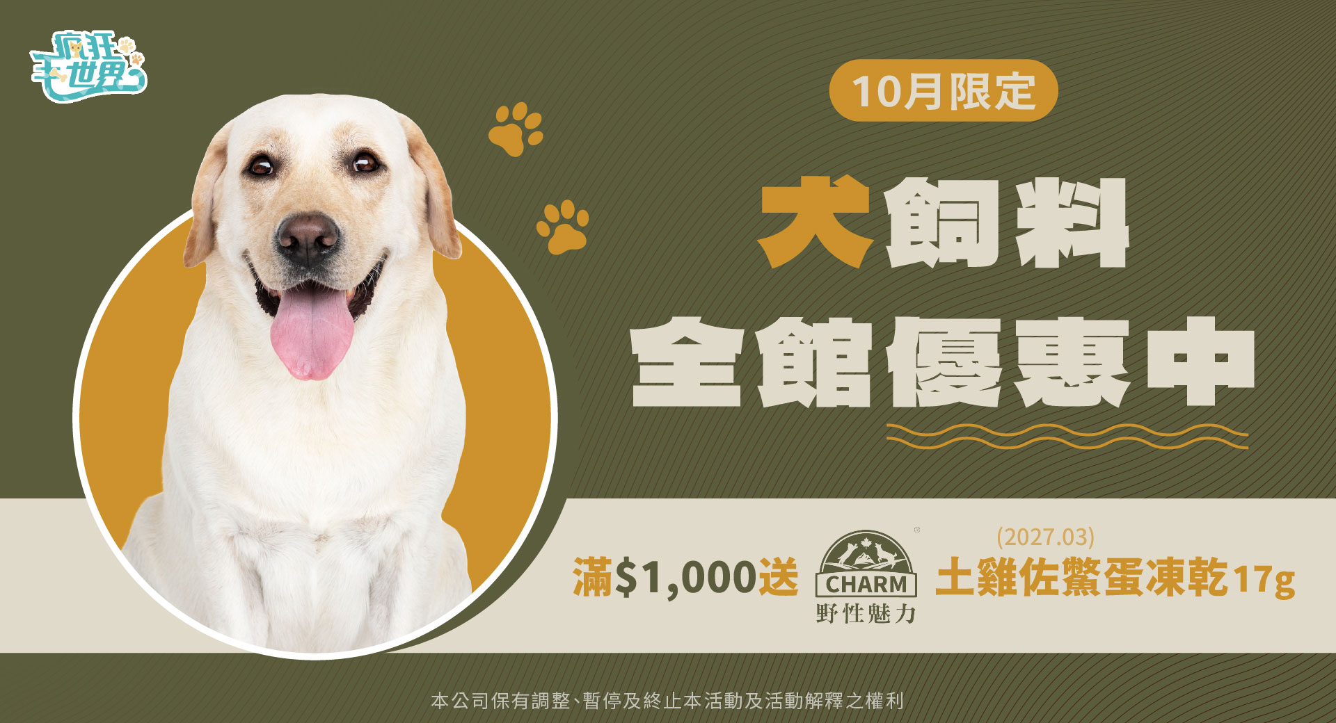 國際狗狗領養月