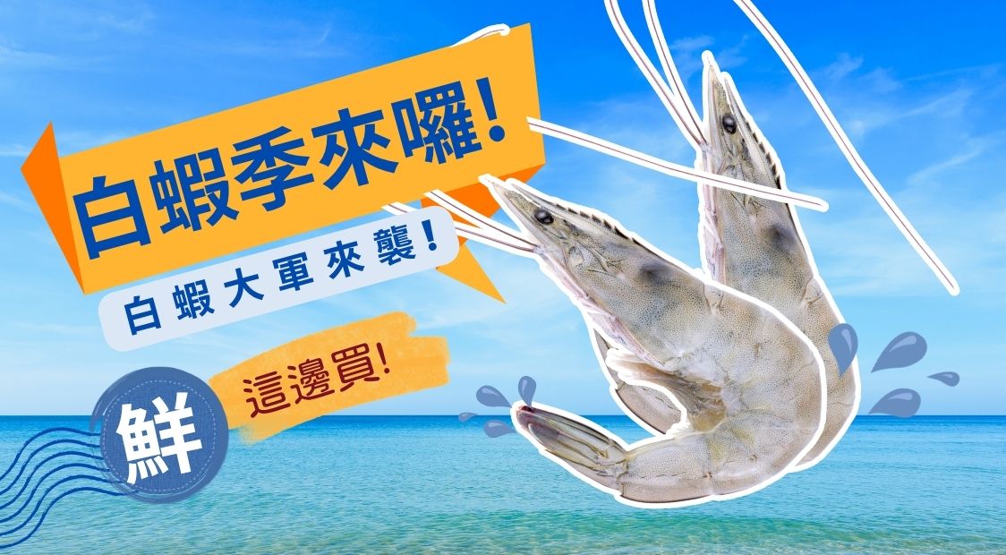 白蝦