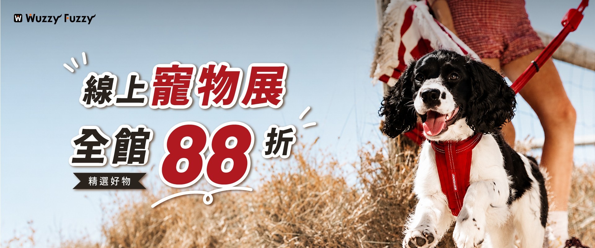 7月活動