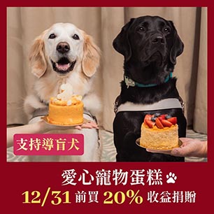 愛心寵物蛋糕