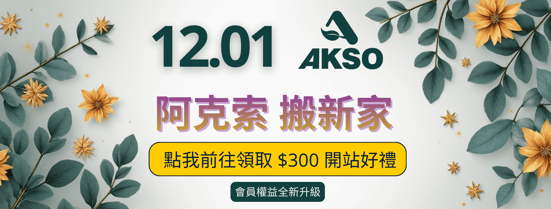 AKSO 阿克索生醫