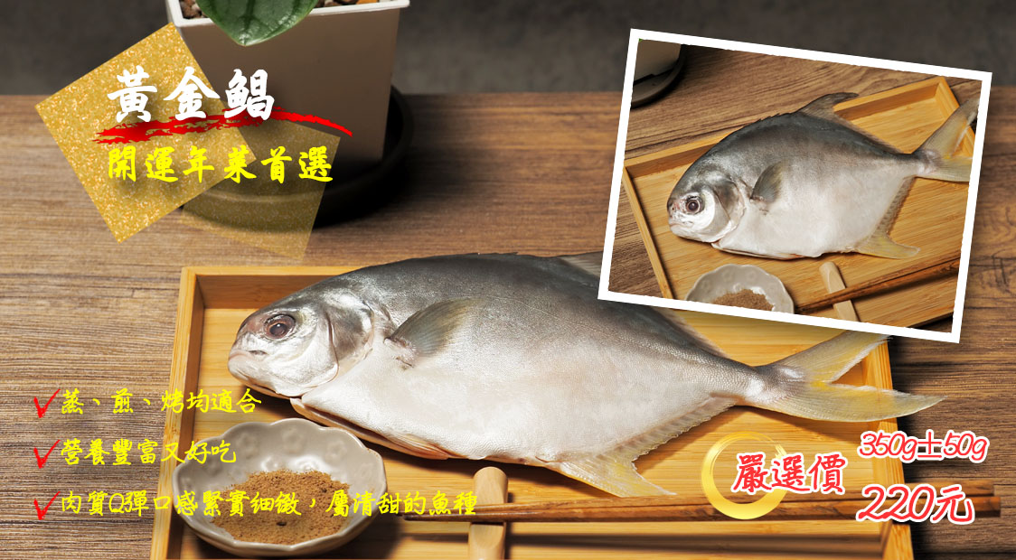 黃金鯧！年菜固定咖！營養鮮甜好魚！