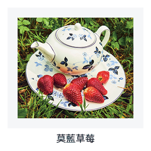 野草莓