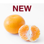 年節推薦 茂谷柑禮盒