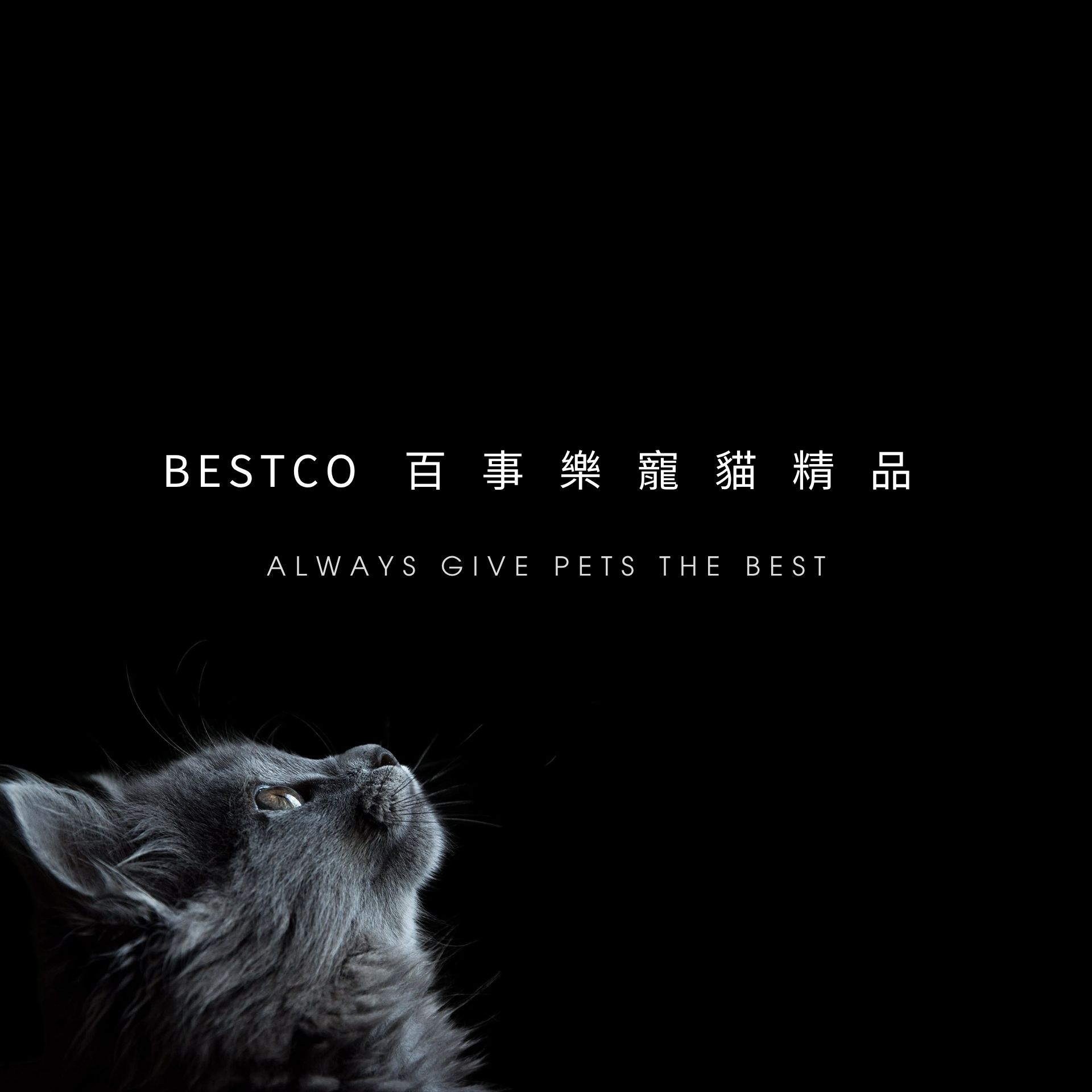 Bestco 五星級玉米貓砂是一款以巴西小農契作玉米與木薯為原料的純天然植物貓砂。產品主打接近零粉塵的極致無塵技術，並通過 SGS 無黃麴毒素與無重金屬官方檢測，專為幼貓、年長貓及呼吸道敏感貓咪設計