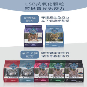 藍摯