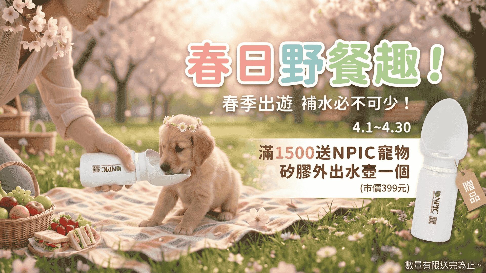 狗狗零食，nbone，潔牙骨