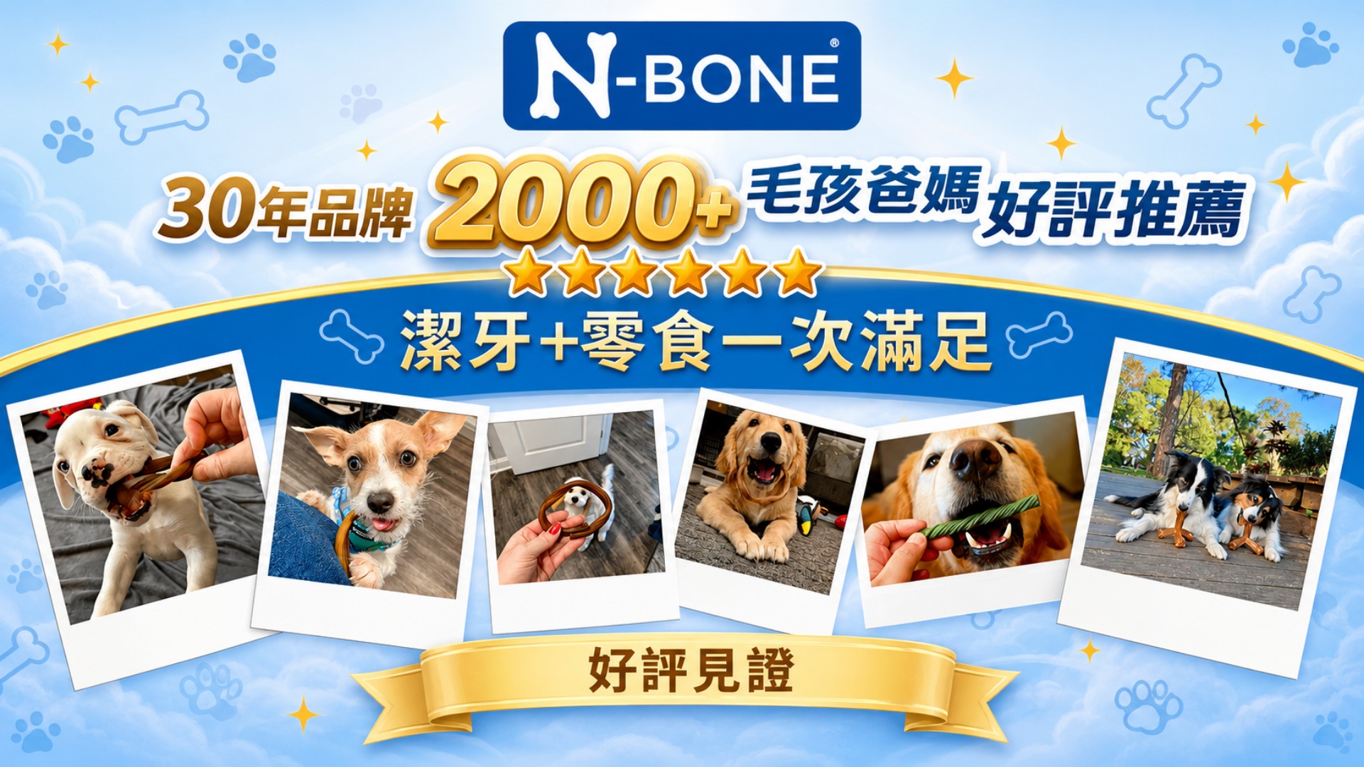 NPIC,NBONE,潔牙骨