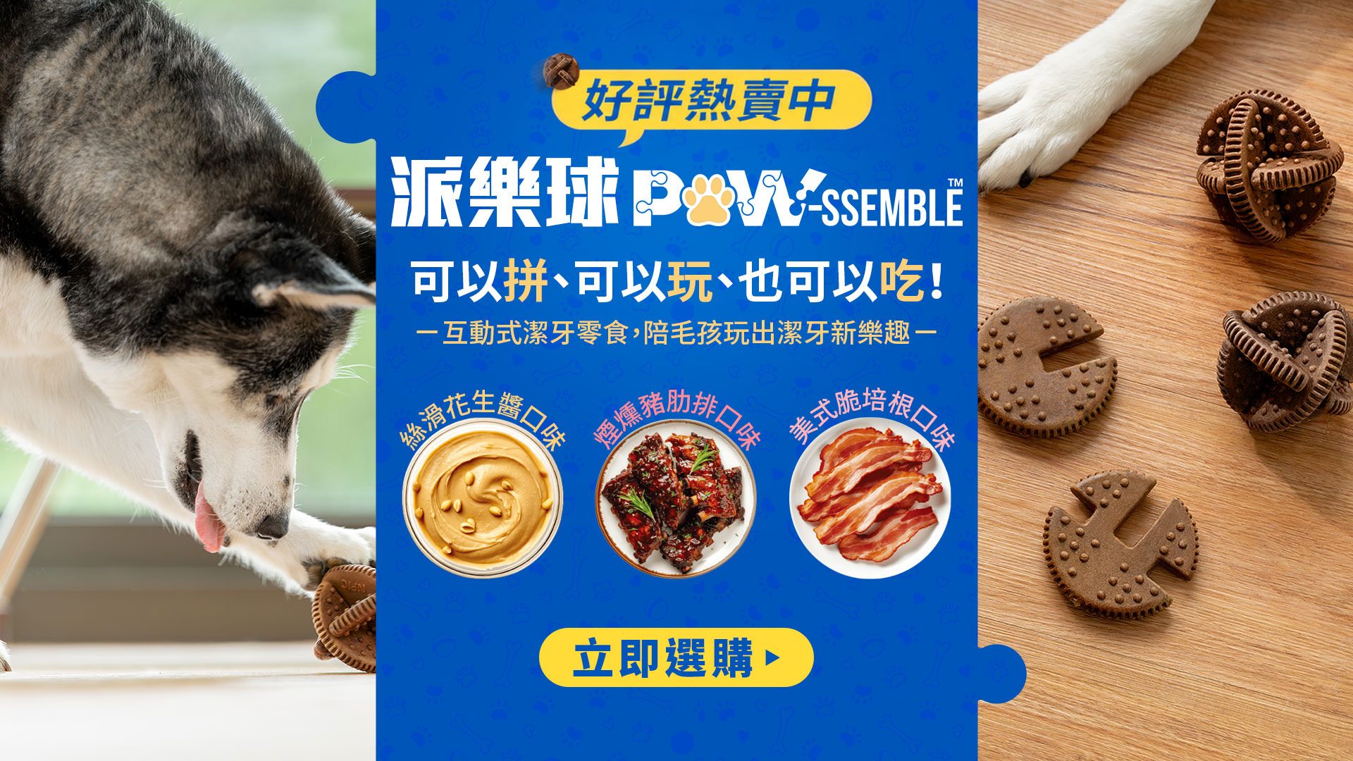 派樂球,pawssemble,潔牙骨,npic,n-bone