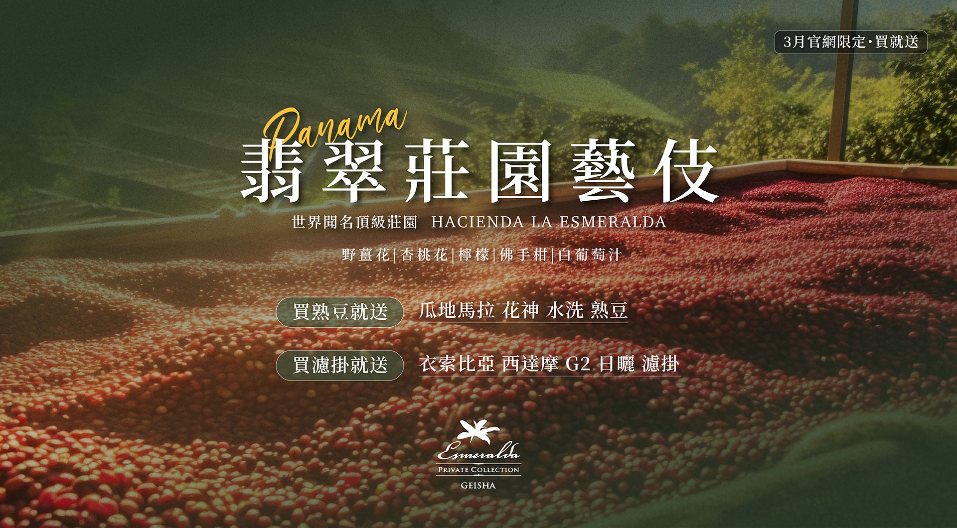 藝伎咖啡推薦-翡翠莊園 精品咖啡首選 樂玩咖啡