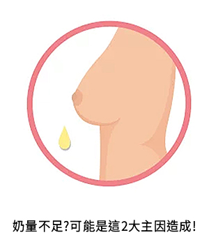 中醫觀點|懷孕哺乳-03