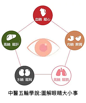 中醫觀點|眼睛防護-10