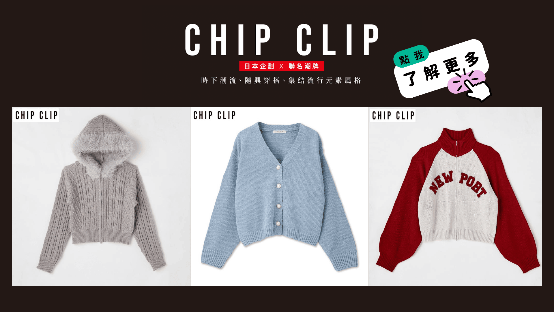 CHIP CLIP-1011