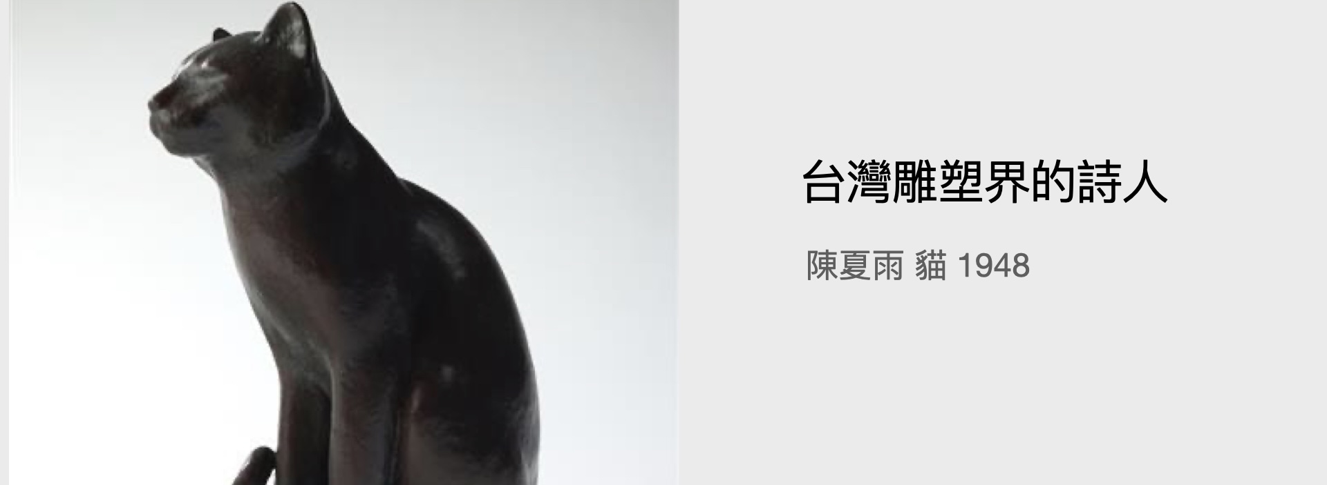 陳夏雨 貓