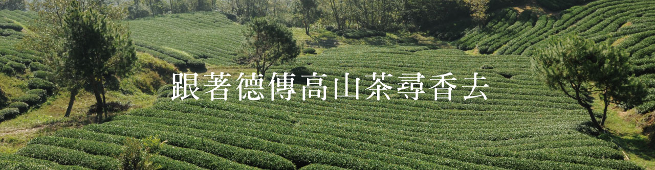 王德傳高山茶 循山尋香 嚴選產區品種特色百年工藝